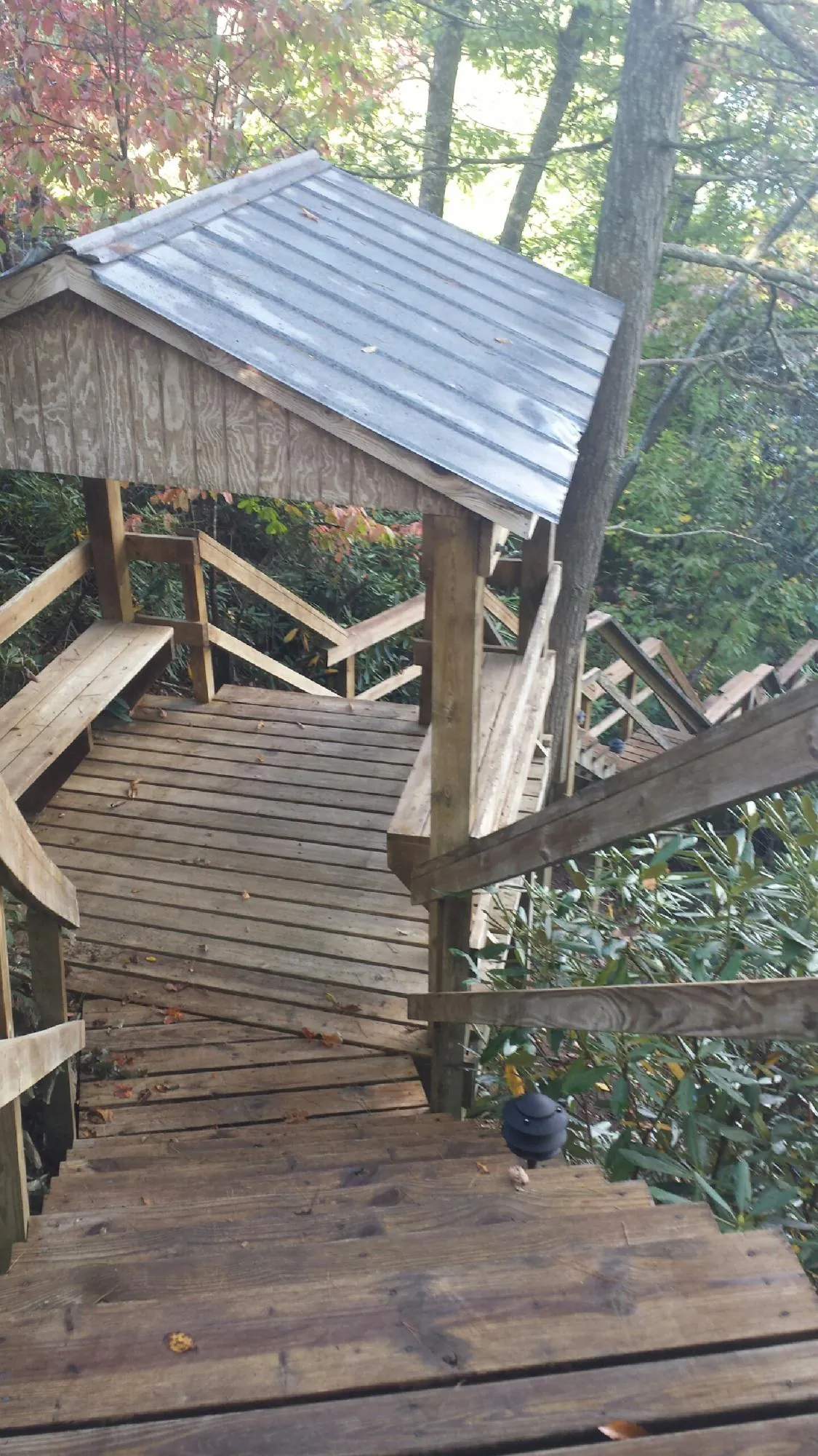Metal roofed shelter over wooden steps on a wooded walkway — Skylight Repair & Installation work by our crew in Platte Center